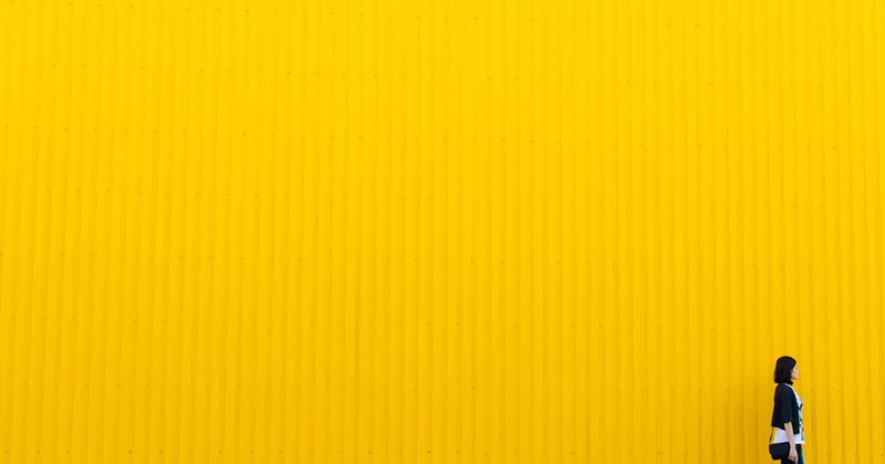 Le cas que personne ne traite : quand on vous copie
